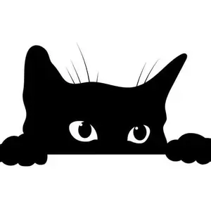 background preload poster image 