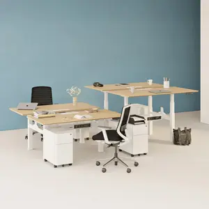 Double Standing Desk