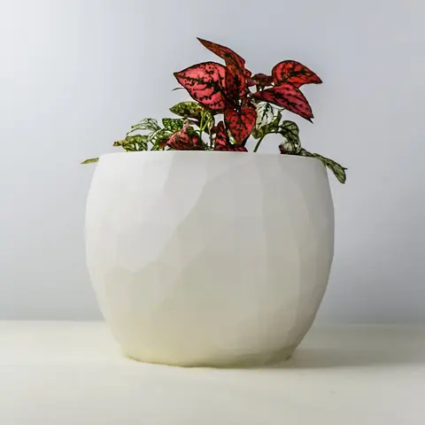 The Voronoi Planter - Perfect for Home and Garden Use