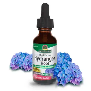 Nature's Answer Hydrangea Root Extract Supplement with Organic Alcohol, 1-Fluid Ounce | Promotes Kidney Health | Urinary Tract Support | Single Count