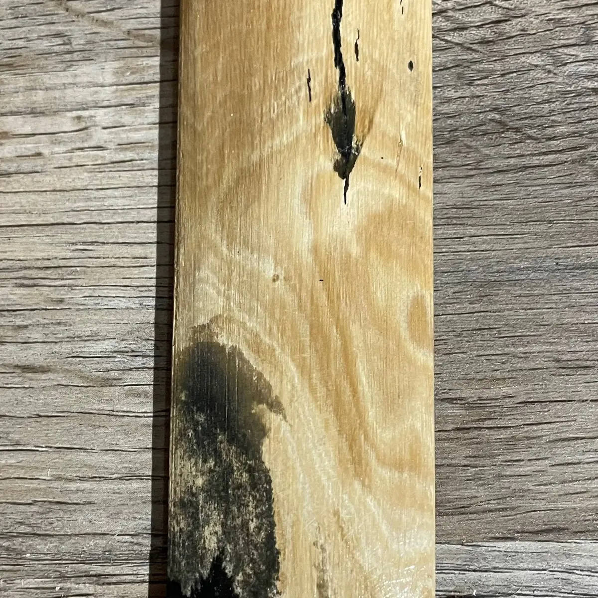 Mammoth Tusk Segment or Bolster Knife Handle Material