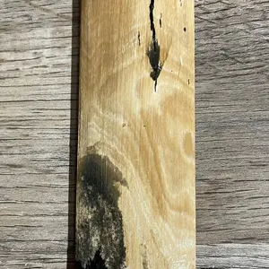 Mammoth Tusk Segment or Bolster Knife Handle Material