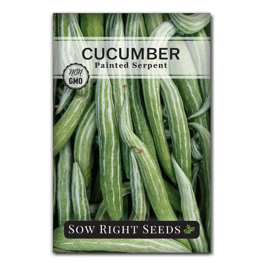 Painted Serpent Cucumber Seeds Cucumber Plant