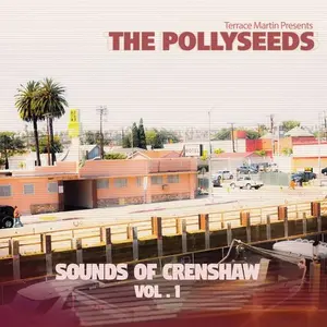 Terrace Martin - Sounds Of Crenshaw Vol. 1  [COMPACT DISC - CD]