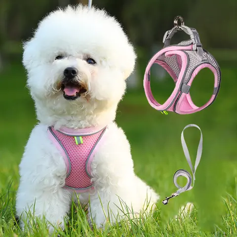 No Pull Adjustable Safety Dog Harness with Universal Leash for Small/Medium Dogs - Soft Mesh, Lightweight, Reflective Straps, Easy-Release Buckle, Good Dark Visibility, Non-Choking, Quick Outfitting, No Pull Harness, Adjustable Safety Harness