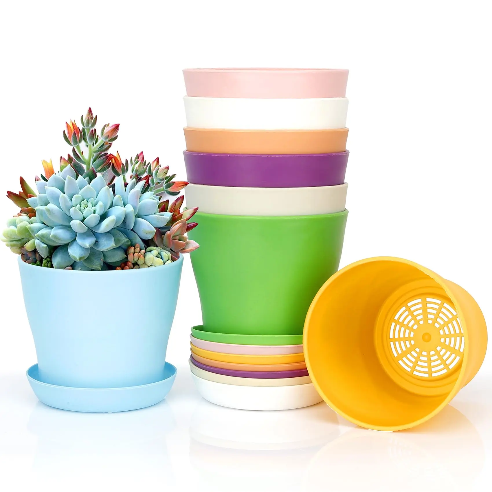 8 Pcs Plant Pots,Flower Pots,Plastic Pots for Plants,Nursery Pots,Succulent  Pots,Planters for Indoor Plants,Herb Garden Planter,Small Plant Pots,Mini  Flower Pots,Cute Plant Pots - TikTok Shop