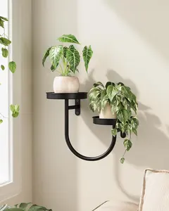 Wall Planters for Indoor Plants Wall Plant Holder Plant Wall Shelves Planters for Indoor Plants Window Plant Shelves Plant Hanger Indoor Plant Black