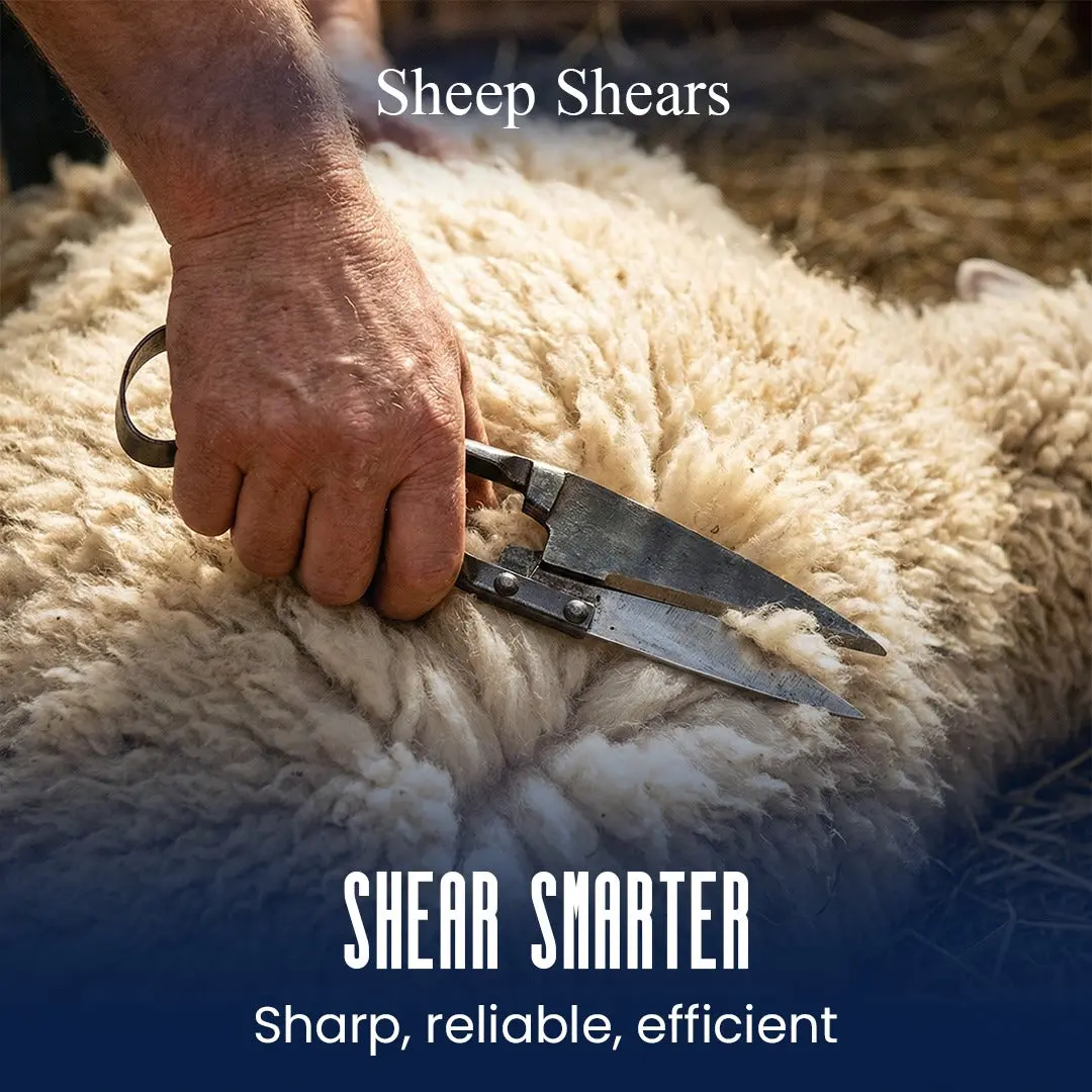 Economy Sheep Shears Economy Sheep Shears