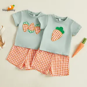 2 Pcs Set Toddler Little Boy Girl Easter Outfit Carrot Embroidered Short Sleeve T-shirts And Plaid Shorts Embroidered Smocked Short Sleeve Bodysuit Set