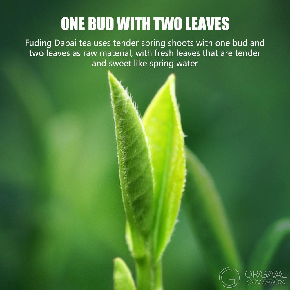 Limited Edition Collector Item (1500g) White Peony Tea in Pink Tin Largest Tea Company And Oldest Tea Company