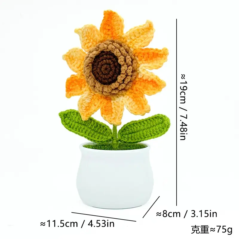 Yellow-edged sunflower potted plant
