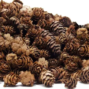 30/60Pcs Artificial Pinecone Home Room Wedding Christmas Halloween Outdoor Yard Garden Decor DIY Bride Wreath Hanging Accessory