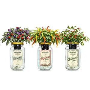 Rare Pepper Mason Jar Garden Kit (3 Pack) – Medusa, Filius Blue & Chiltepin Peppers – Indoor Hydroponic Pepper Grow Kit – Unique Ornamental & Edible Pepper Plants for Windowsill Gardening