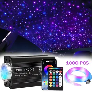 1000PCS Car Headliner Star Light Kit, Fiber Optic Twinkle Roof Ceiling Lights with RGBW LED, Perfect for Auto Interior Upgrade, Home Ceiling, Bedroom and Theater Ambience Lighting