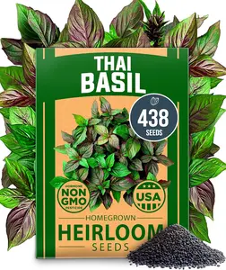 Heirloom Basil Seeds for Planting Indoors or Outdoors – High Germination Herb Seeds for Home Gardening, Culinary Use, Hydroponics, Raised Beds & Container Growing