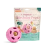 WOOF Pupsicle Party Pack Treats Refillable