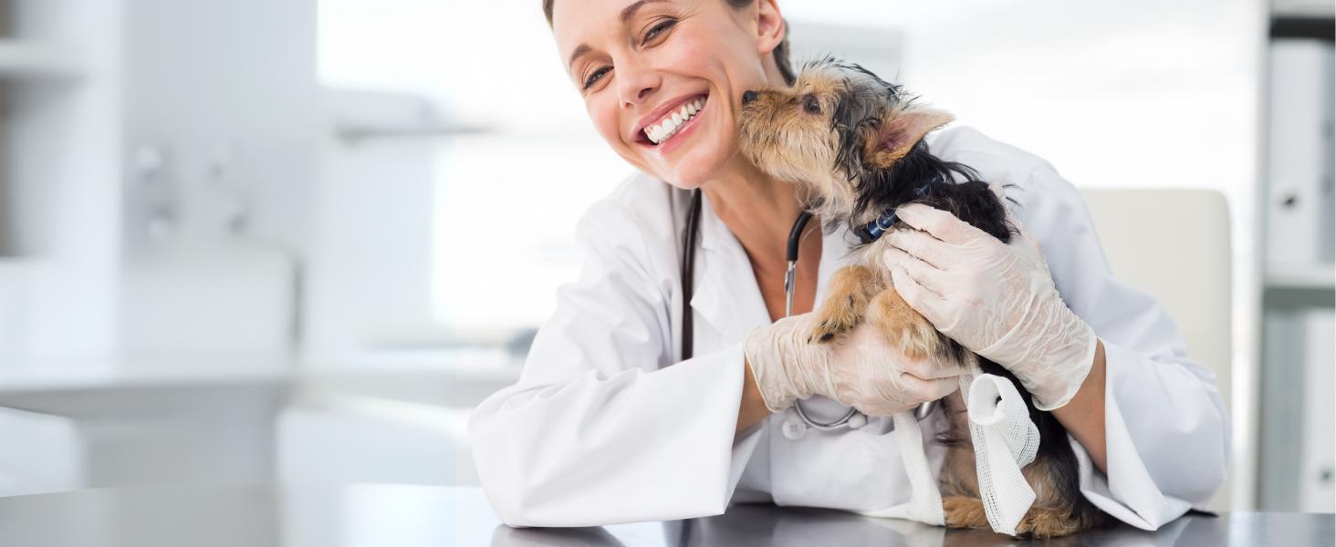 Vet’s Best Enzymatic Dog Toothpaste – Vet Formulated Dental Gel for Teeth Cleaning, Fresh Breath, Tartar Control, Plaque Remover & Oral Hygiene for Dogs, 3.5 oz