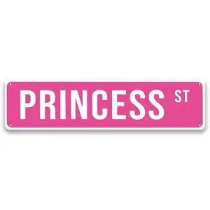 Princess Street Sign, 1 Count Creative Colorful Wall Decal, Wall Art Sticker for Entryway, Porch, Living Room, Bedroom, Office, Desk Wall Sign