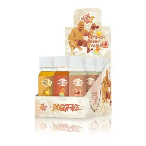Steady Vibin Variety Pack Collab with DOGGFACE | WAKE + INTENSIFY + BLISS | 12 Pack Of Wellness Vitamins Supplement Shots