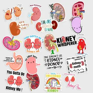 Sticker Pack 20 Kidney Health Awareness Vinyl Sticker, Organ Support Message Decal for Laptop