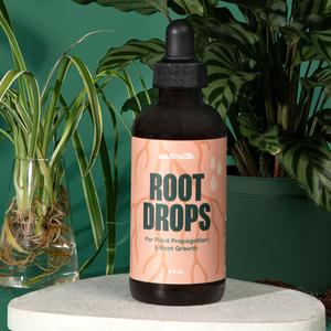 southside root drops liquid rooting hormone 4 oz for plant propagation, cuttings & houseplant root health with 0.025% indole butyric-3 acid