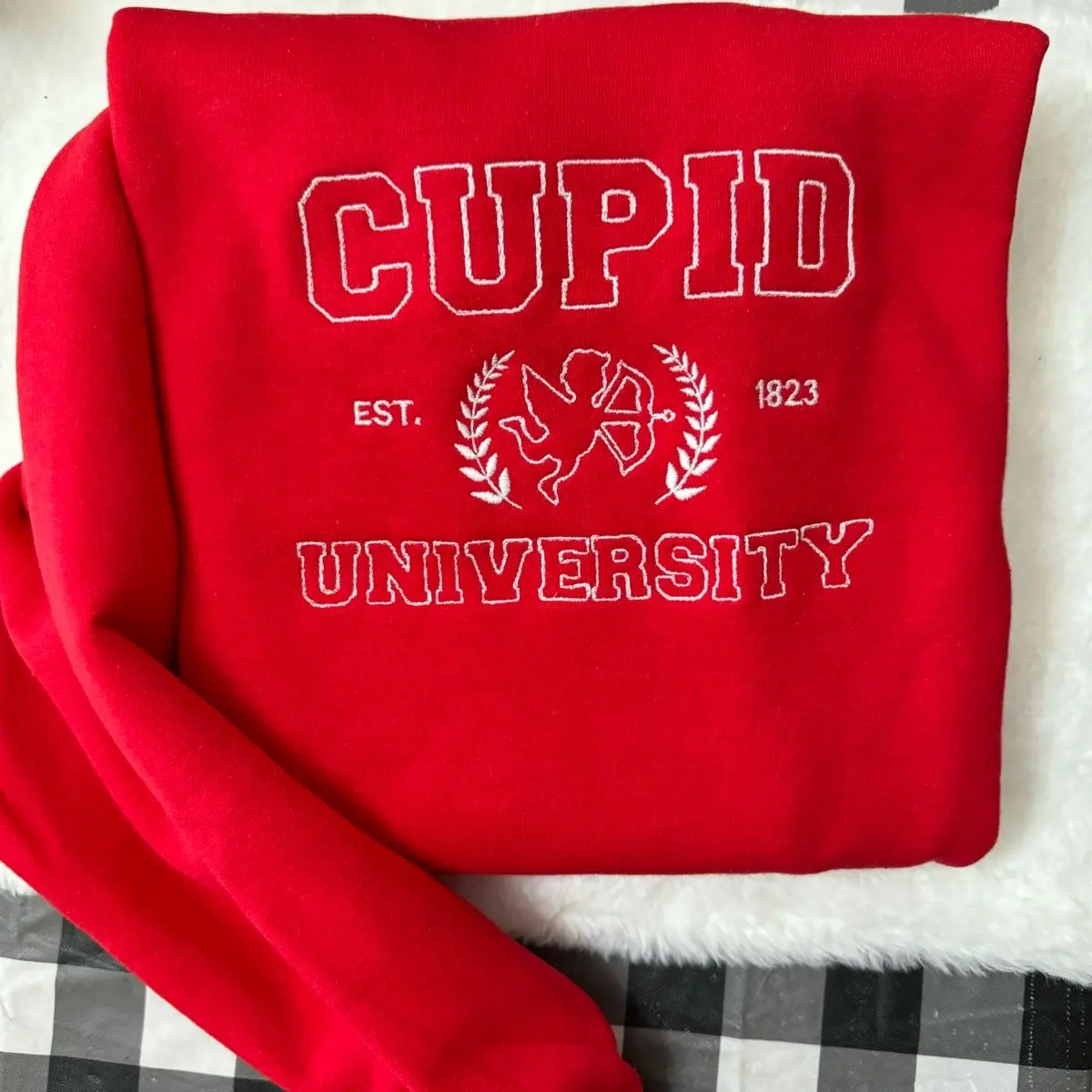 Cupid University Valentines Embroidered Sweatshirt Pullover
