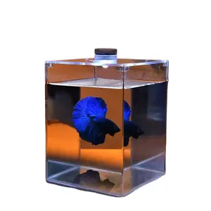 Master Fish Tank Acrylic Fighting Fish Tank Sparring Tank Double Tank PK Tank Small High Definition Explosion Proof Tank