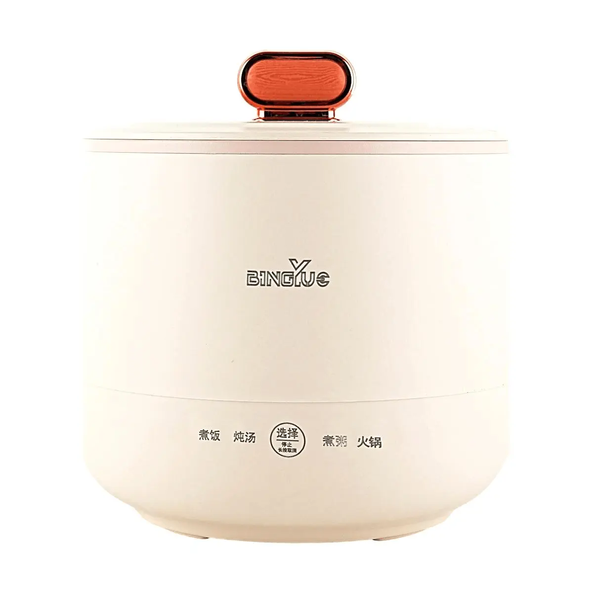 Chinese Brand Smart Mini Electric Pot 1.6L, Multifunctional Cooker with Non-stick Liner, Temperature Control, US Plug 110V