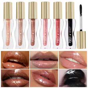 HECI Lip Glaze Makeup, Moisturizing and Nourishing Long-lasting Lip Gloss, Plumping Lip Oil Lip Stick for Girls & Women, 1 Count