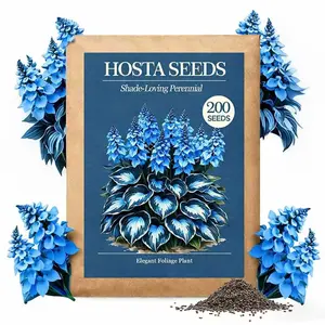 Hosta Seeds – Easy-Grow Perennial Shade Plants for Garden Landscaping 200+