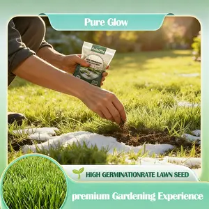【PetalPit】G-All-Purpose Grass Seeds - Wear-Resistant & Insect-Resistant, Suitable for Park/Yard/Football Field, Easy to Plant