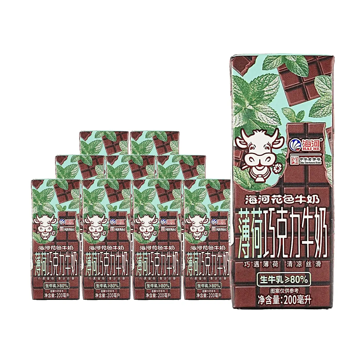 HAI HE Peppermint Chocolate Milk Drink 200ml 10 Pack Real Milk Beverage Refreshing Mint Flavor