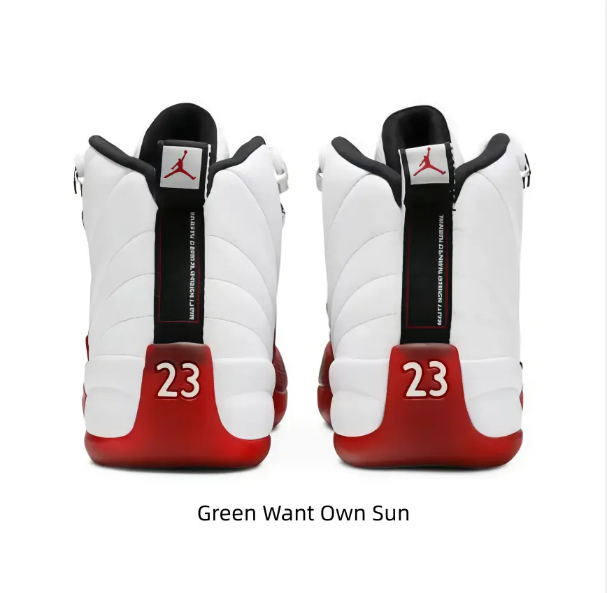 Athletic Sports Shoe - Collectible Sneaker Footwear, Versatile Silhouette Shining From Court to Curb