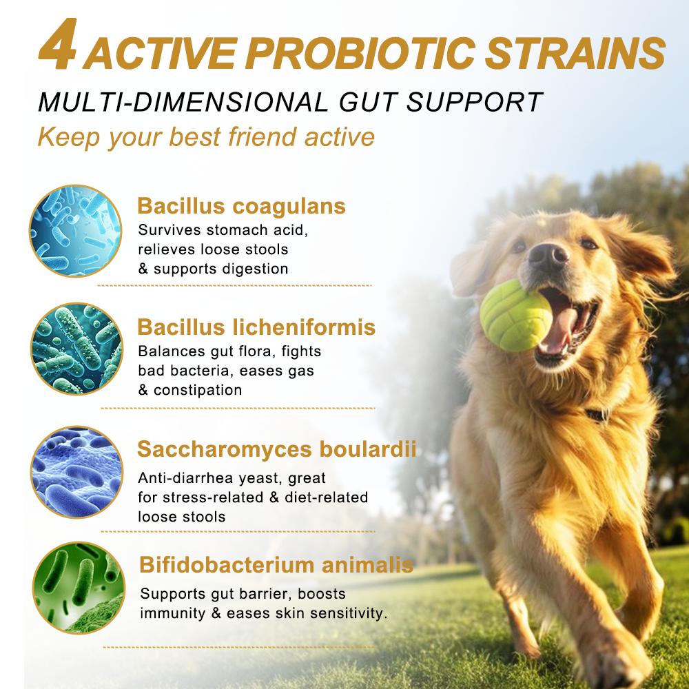 Dog Probiotic Palatable Chews - 180 Multi-Strains Soft Chews with Cod Fish, MCT Oil, GOS, Pumpkin & Chicken Flavor - Supports Immune Boost, Skin & Coat Health, Digestive Balance - For All Breeds Senior Dogs - 24 Months Shelf Life