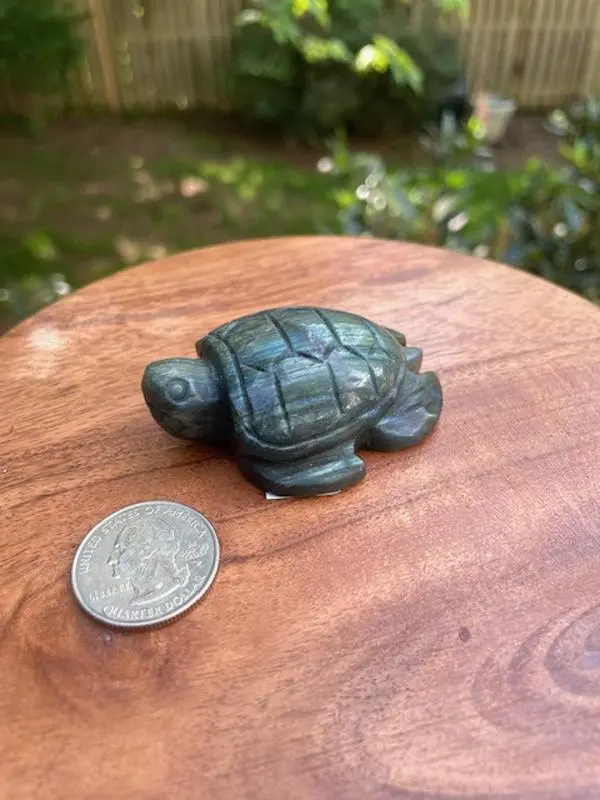 Labradorite Turtle Carving - 2 1/2 inches