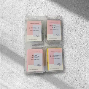 6 Cube Clamshell Shimmery Wax Melts (Choose Scents)