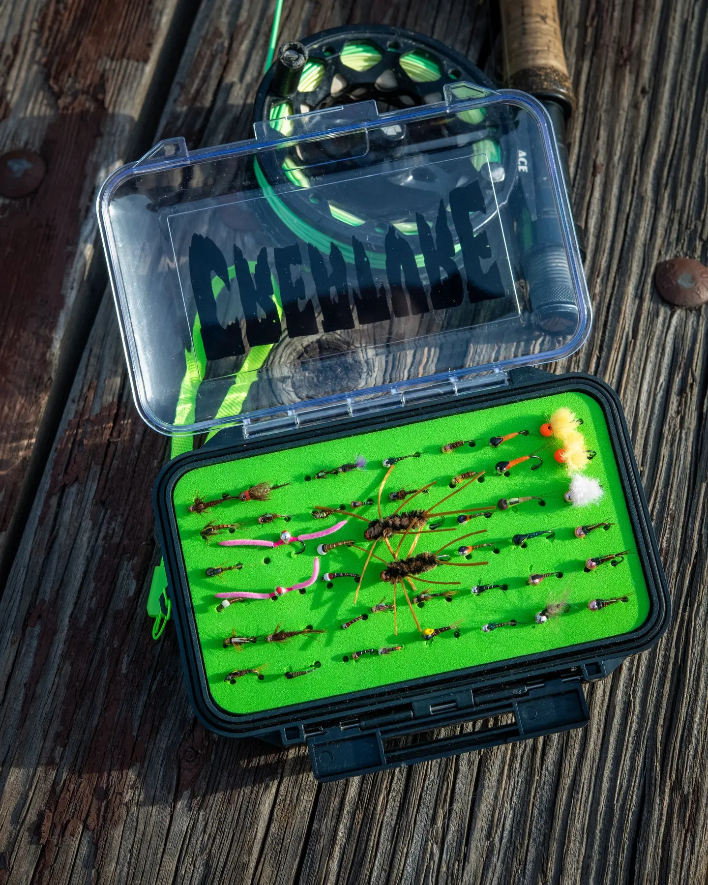 Gravette Stream Creature Tackle Box