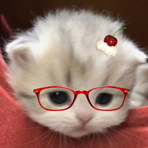 Junhhuan