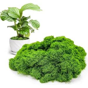 Artificial Moss, 100g Fake Moss, Faux Moss, Decorative Moss for DIY Micro Landscape Arrangement Ornament, Home Decor, Garden Decor, Fruit, Artificial Plants