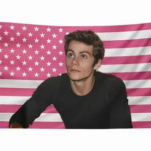 Funny American poster flag wall hanging Dylan flag tapestry,can be used in kitchen, living room, bedroom, dining room, outdoors, gifts OBrien.