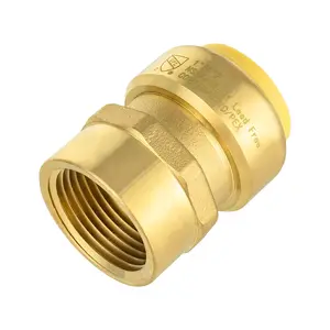 1/2" x 1/2" F Push FIt Female Adapter