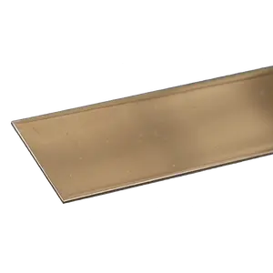 Stainless Steel Strip: 0.023" Thick x 1" Wide x 12" Long (1 Piece)