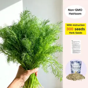 Dill Seeds – 300 Heirloom Seeds | Easy-Growing Culinary Herb for Home & Garden