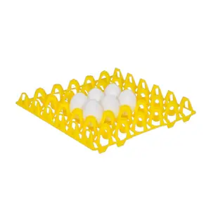 Plastic Egg Tray - Chicken - 30 Eggs - Durable 30-Egg Tray for Safe Chicken Egg Storage