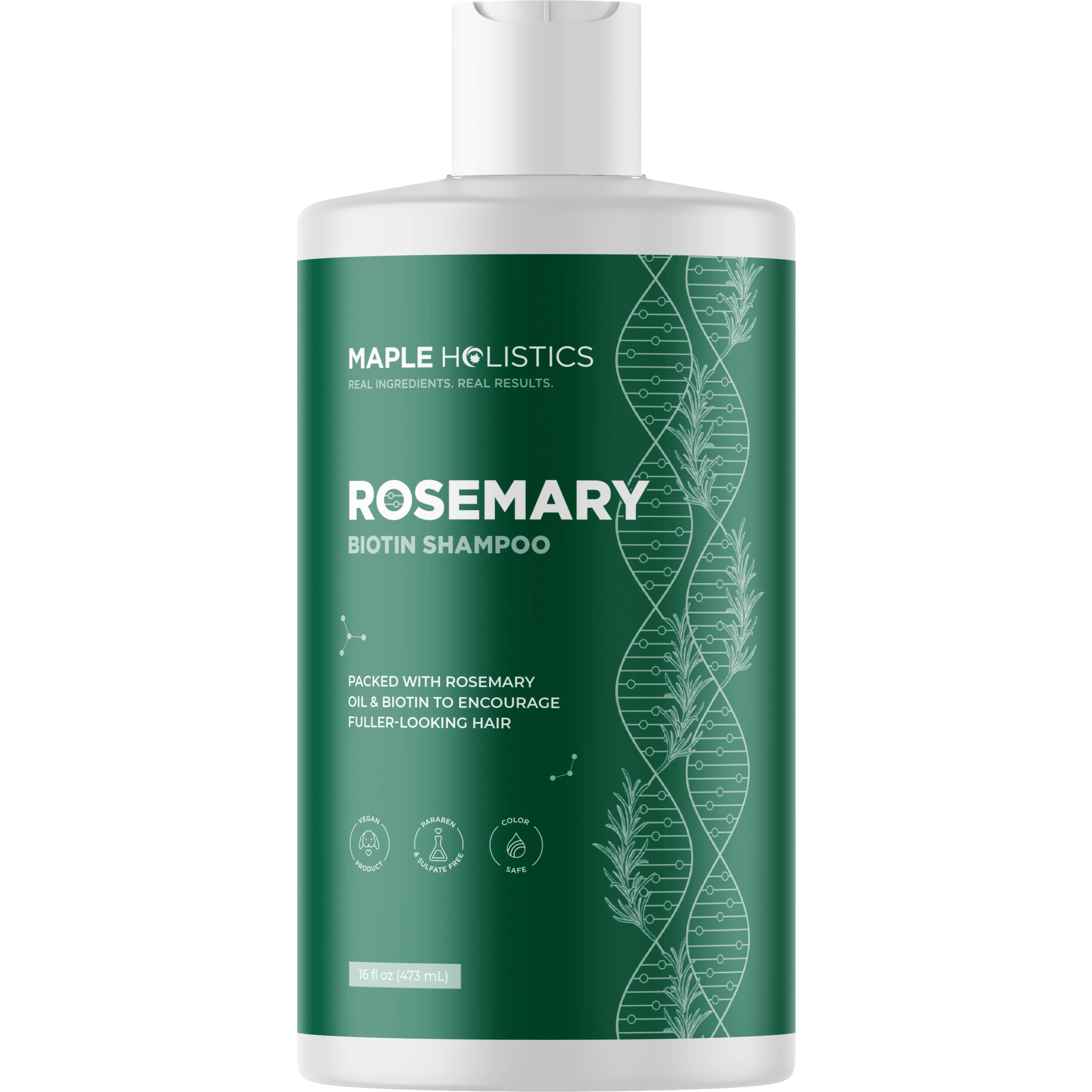 Maple Holistics Rosemary Biotin Shampoo for Thinning Hair 16 Fl Oz Vegan Sulfate-Free Nourishing Blend with Rosemary Oil Tea Tree Argan Lengthening Volumizing Moisturize