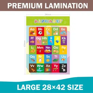 16 Pcs Colorful Laminated Educational Posters for Kids - Ideal Classroom and Teacher Decor, Perfect for All Ages, Boho-Themed Rooms and Elementary Classrooms