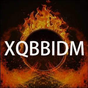 XQBBIDM SHOP shop logo