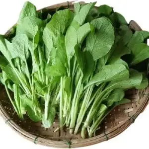 Choy Sum (Cai Ngot) Brassica Seeds, 3 Pack (3000 Seeds Total), Fast Germination & Fast Growth, for Indoor, Outdoor, Balcony Urban Gardens
