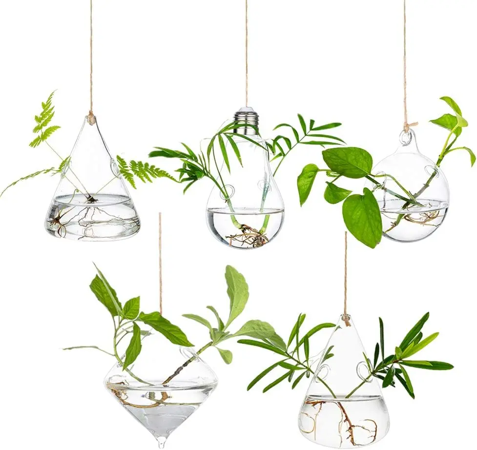 5-Count 5 Different Shapes Glass Terrarium Hanging Planters - Hanging Flower Pots, Modern Hydroponic Growing System, Wall Vases for Indoor Window Home Decor, Ideal for Mother’s Day, Get Well Gifting