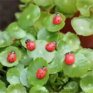 6/12 Cartoon Ladybug Car Decorations, Cute and Fun Design, Perfect for Dashboard, Small and Non-Obstructive, Enhances Car Interior Aesthetic